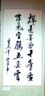 二等獎(jiǎng):(作者：楊軍國(guó)    所在單位：第一工程處    主題：揮毫)
